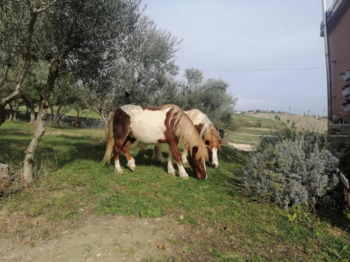 Casa Degli Ulivi Holiday home *