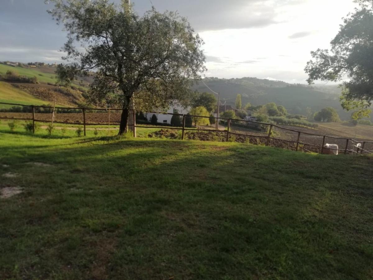 Casa Degli Ulivi Holiday home *