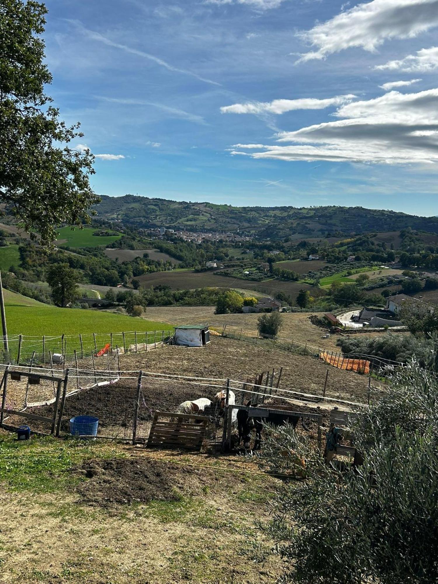 Holiday home Casa Degli Ulivi Tolentino