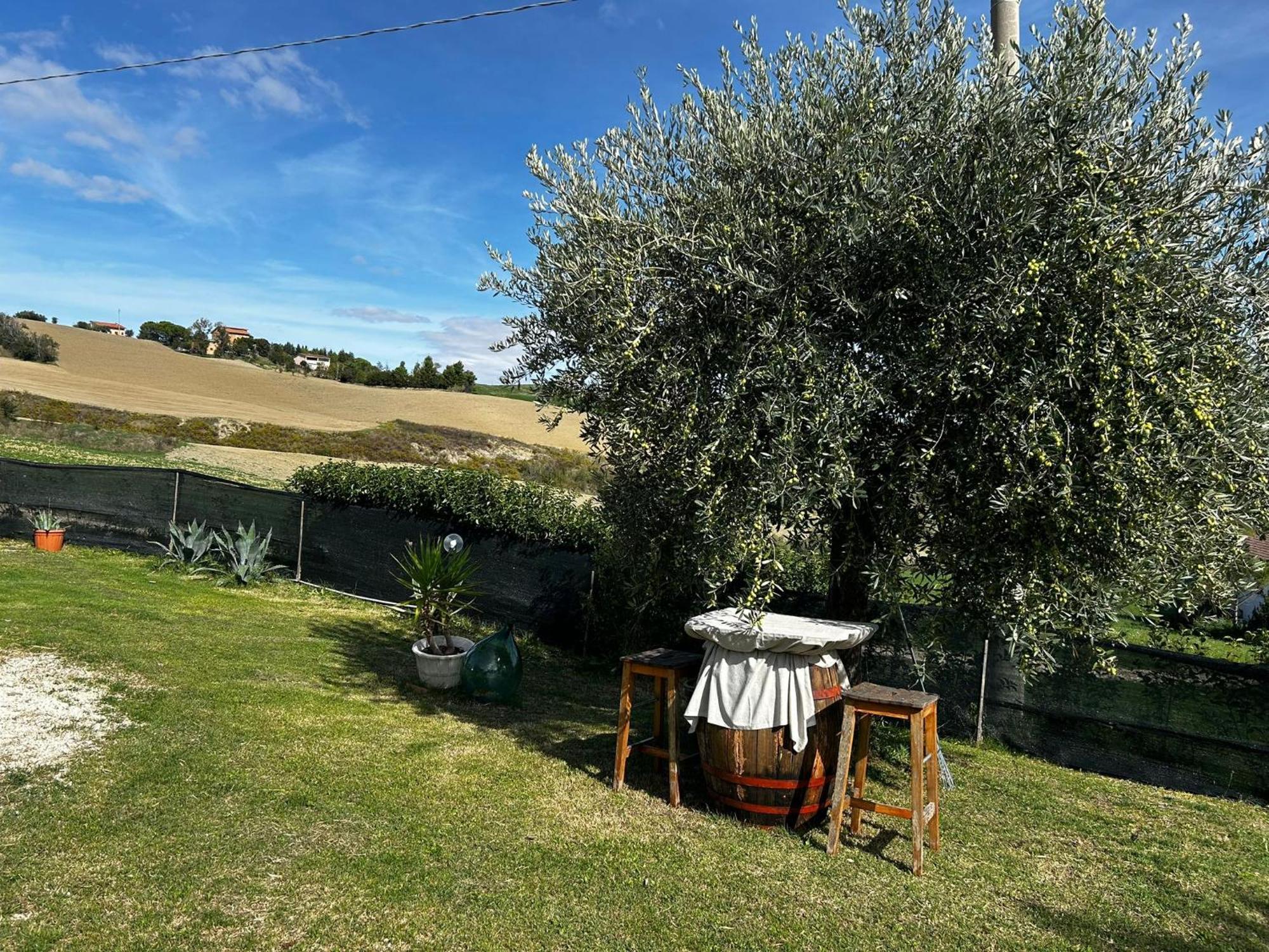 Сasa de vacaciones Casa Degli Ulivi *